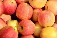 apples-fall-harvest-fruit-food-277490.jpg