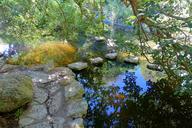 Koi pond - Isamu Taniguchi Japanese Garden - Zilker Botanical Garden - Austin, Texas - DSC09057.jpg