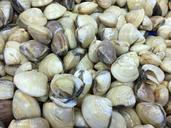 clam-mussel-seafood-food-meal-1055816.jpg