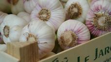 garlic-tuber-herb-medicinal-plant-823783.jpg