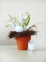 easter-flowerpot-floral-arrangement-321426.jpg