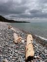 pebble-beach-shoreline-water-lake-56433.jpg