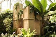 greenhouse-tropical-house-terracotta-93996.jpg