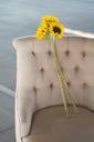 sunflowers-chair-seat-arranged-918755.jpg