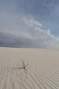 wilderness-mexico-national-sand-69393.jpg