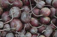 beets-vegetable-raw-fresh-market-1602048.jpg