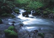 stream-wilderness-water-river-864875.jpg