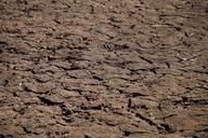 earth-ground-dehydrated-drought-578190.jpg