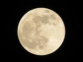 full-moon-moon-night-sky-moonlight-492558.jpg