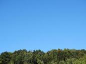 horizon-forest-horizons-forest-457991.jpg