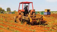 tractor-working-potato-harvest-1420288.jpg