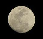 full-moon-night-moon-sky-600813.jpg