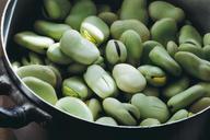 beans-green-veggie-food-healthy-1635621.jpg