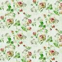 paper-background-old-multi-color-348912.jpg