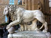 lion-florence-place-537844.jpg