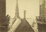 Notre_Dame_de_Paris._View_from_Tower_with_Chimeras_and_Gargoyles.jpg