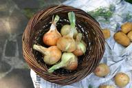 onion-vegetables-food-cook-healthy-952046.jpg