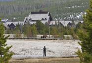 Grizzly_Sow_and_Yearling_on_boardwalk_in_Upper_Geyser_Basin.jpg