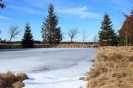 lake-frozen-landscape-venn-belgium-666337.jpg