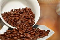 coffee-beans-roasted-bean-cup-618969.jpg