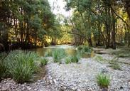 riverbed-golden-light-forest-river-928545.jpg