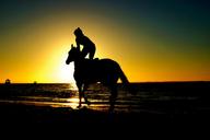 riding-horse-beach-animal-sport-768586.jpg