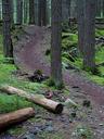 Glacier trail in mountains.jpg