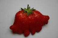 strawberry-fruit-red-rare-form-66662.jpg