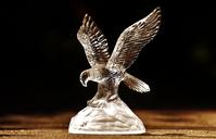 raptor-adler-glass-fig-1665376.jpg