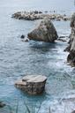 ocean-rocks-boulders-coast-shore-926518.jpg