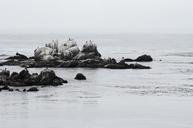 rocks-water-peaceful-serene-1209709.jpg