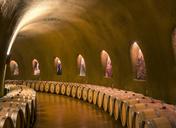 One of the wine cellers, or "caves," at the Jarvis Winery, in the mountains above Napa Valley, California LCCN2013630863.tif.tiff