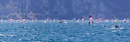 wind-surfing-wind-water-surf-924892.jpg