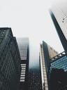 buildings-skyscrapers-sky-foggy-1031014.jpg