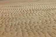 sand-sea-beach-nature-ocean-460491.jpg