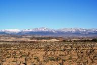 la-rioja-logro%C3%B1o-vineyards-winter-345139.jpg