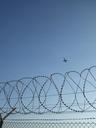 flight-freedom-border-sky-701097.jpg