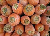 carrots-unwashed-vegetables-healthy-89077.jpg