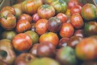 tomatos-vegetables-food-fresh-960795.jpg