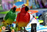 parrots-toys-plastic-artificial-390521.jpg