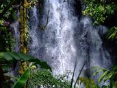 waterfalls-cedar-philippines-nature-916567.jpg