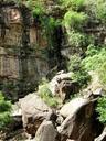 cliff-nature-rock-rock-wall-jungle-385400.jpg