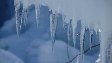 ice-cubes-winter-cold-frozen-ice-1702496.jpg