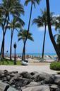 waikiki-beach-hawaii-holiday-347018.jpg