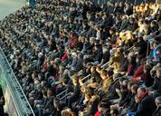 stadium-tribune-spectators-crowd-597536.jpg