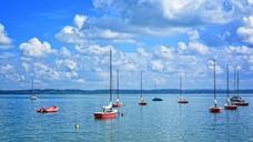 sailing-boats-port-boats-boat-masts-931520.jpg