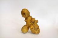 potato-garden-vegetables-eat-food-967178.jpg