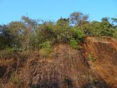 cliff-trees-sky-western-ghats-277369.jpg