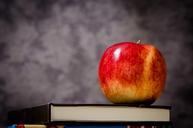 apple-education-school-knowledge-256262.jpg