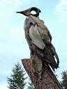 heron-driftwood-art-1317056.jpg